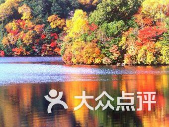 灵魂筹码